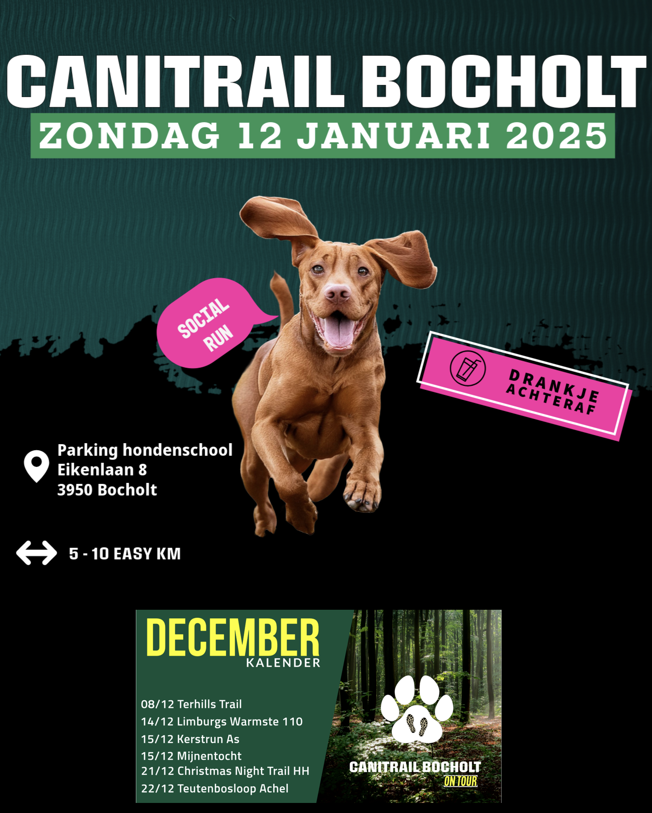 Next community event in Bocholt