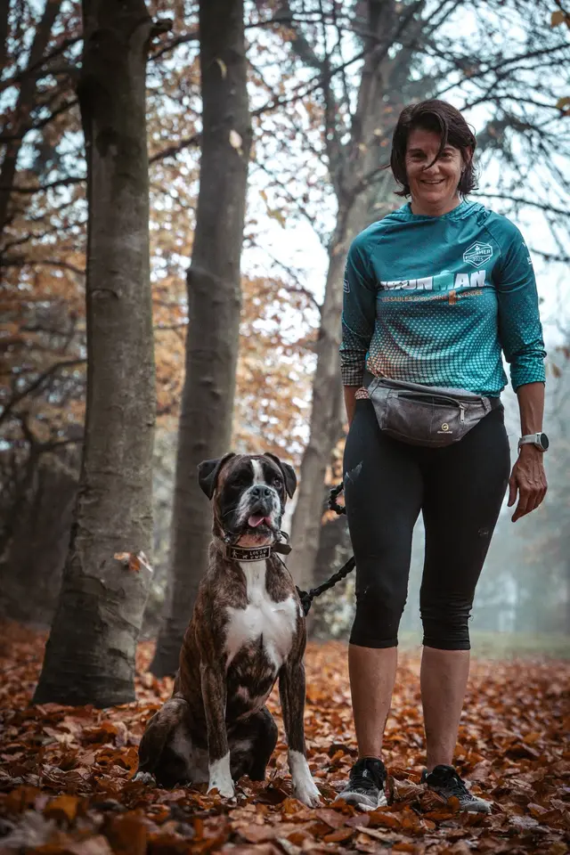Ollie, boxer, tijdens een canitrail