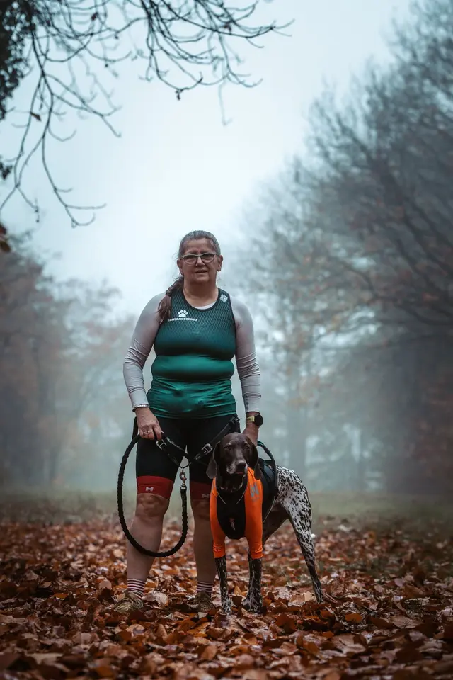 Bliss, duitse staande hond, tijdens een canitrail