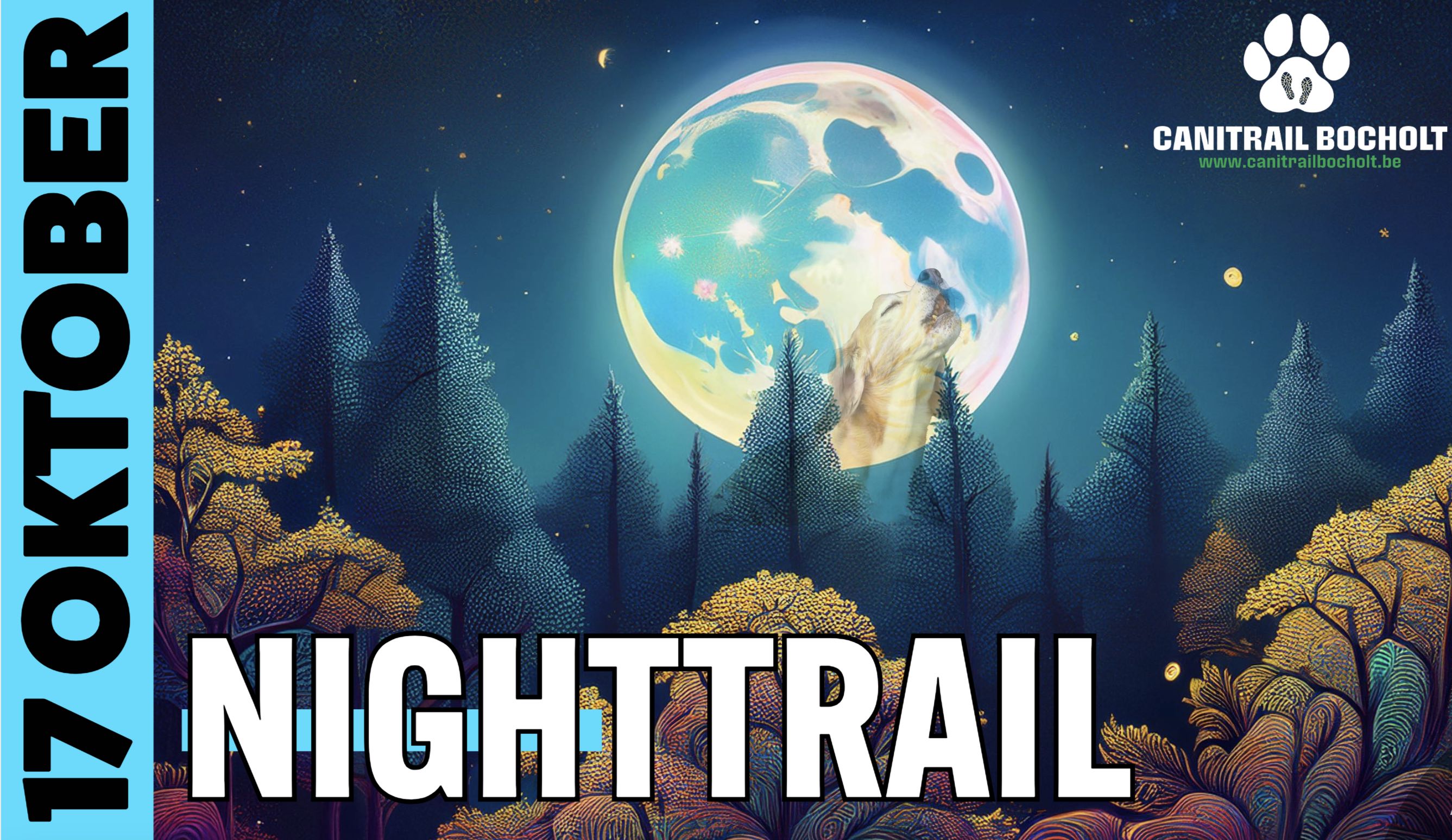 Night trail