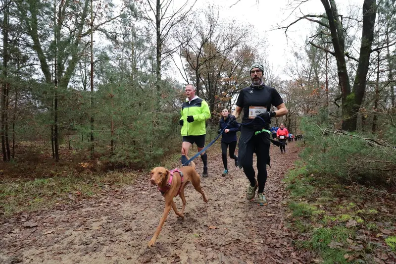 Lopen over de duinen